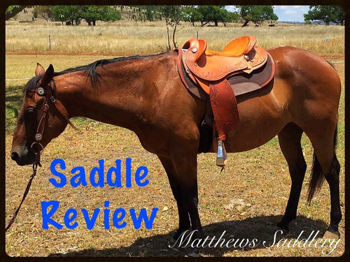 SADDLE REVIEW