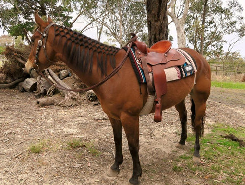WESTERN SADDLE