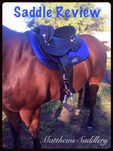 SADDLE REVIEW